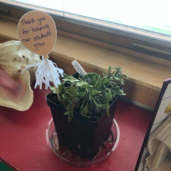 Meet your Posher, Leslie - Picture 1 of 1